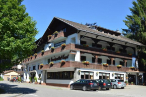 Гостиница Alemannenhof Hotel Engel, Рикенбах